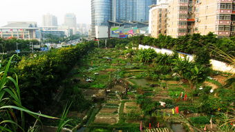 什么是田园城市?