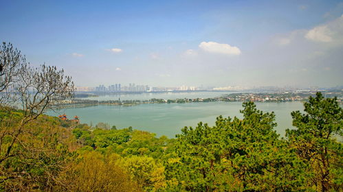 楚天极目是谁题写，楚天极目楼