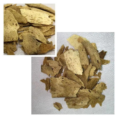 中草药名方:小牛角腮散的功效与作用