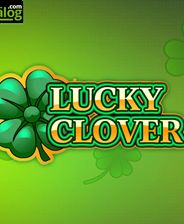 幸运的英语单词