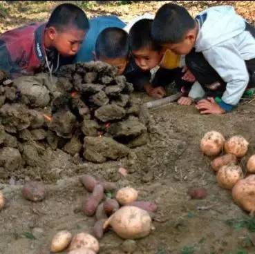 东营市人口2022年总人数口