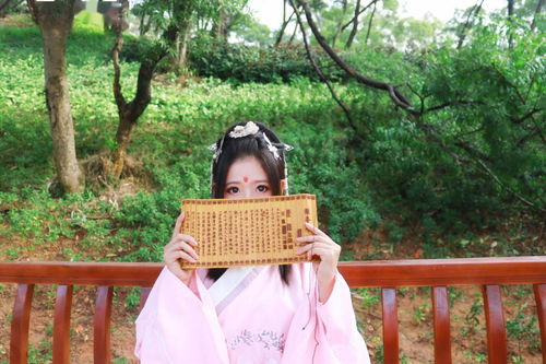 梧桐树三更雨表达爱情，梧桐树三更雨,点点滴滴到天明