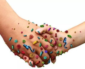 洗手可以洗掉多少细菌?洗手多久可以洗掉细菌?那么如何正确洗手?_百度