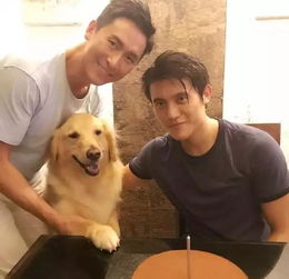 骧字怎么念,什么意思