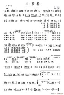 歌词里有:梅花梅花满天下,歌名是什么?