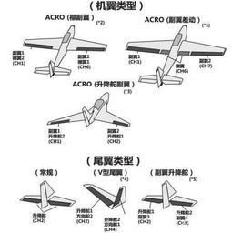 _翼的结构_翼的结构是什么