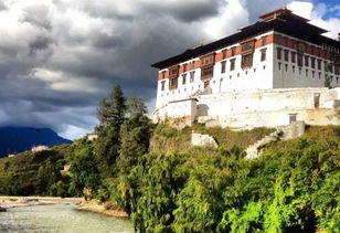 廷布怎么读，廷布英文