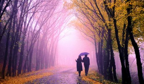 雨中飘荡的回忆词曲作者，雨中飘荡的回忆歌词表达了什么情感