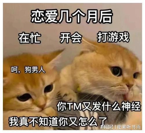 开心的一天作文