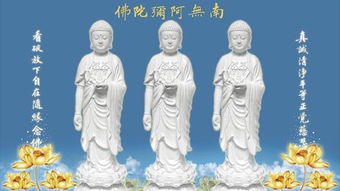 广东慈光安养院入院具体条件