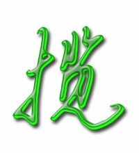 揽字组词有哪些