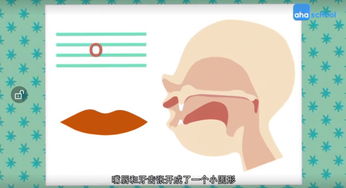 悉的拼音和组词