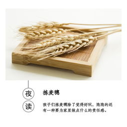 麦穗的拼音怎么写的读，麦穗图片