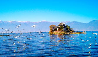 洱海在云南哪里呀?