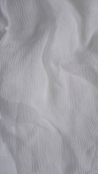 绉纱馄饨by马蹄糕，绉纱婚怎么读