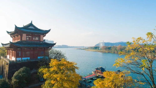 兰溪天气40天，金华兰溪天气