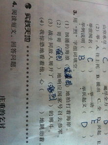 列组词精选280个