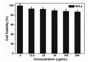 poruis是什么意思?在一款手表上看到的,是英文吗?