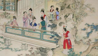 红楼梦阅读免费，红楼梦阅读手抄报