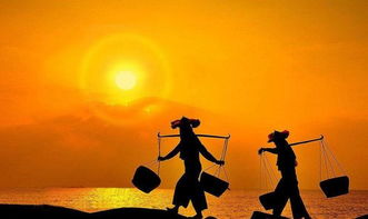 黑发不知勤学早下一句是什么意思，知之者不如好之者下一句