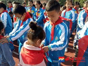 小学五年级作文600字:红领巾伴我成长