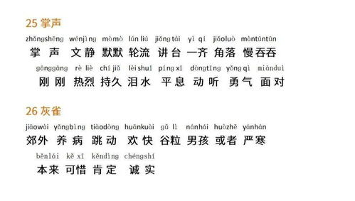 "综艺节目”用日语怎么说