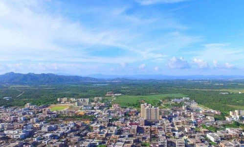 平阳这几天会有台风吗?