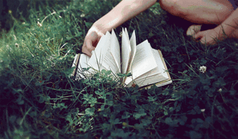 投长沙裴侍郎原文及翻译，投长沙裴侍郎杜荀鹤翻译