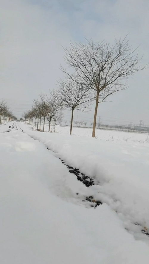 冬天真美600字作文，冬天真美作文200字三年级