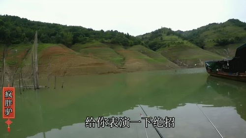 蒙江属于哪里，蒙江象棋地风水留题