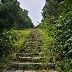 七王坟为什么不让进去了