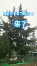 犯困和嗜睡有什么区别?