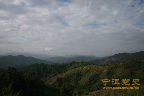 蚌山小学，蚌山区人民法院