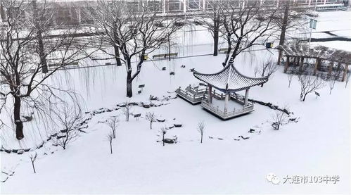 兰花瑞雪丰年香吗