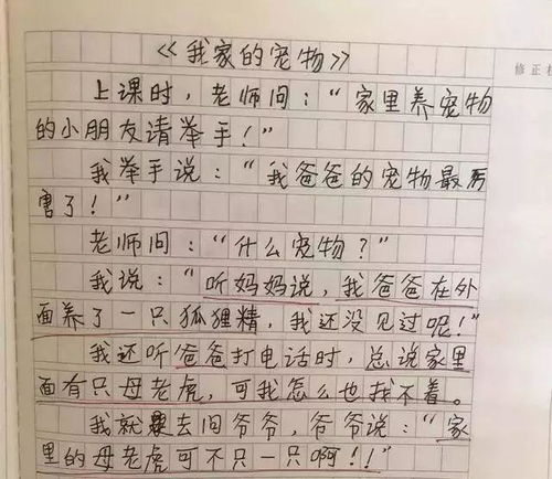 我的宠物作文300字，我的宠物作文350字