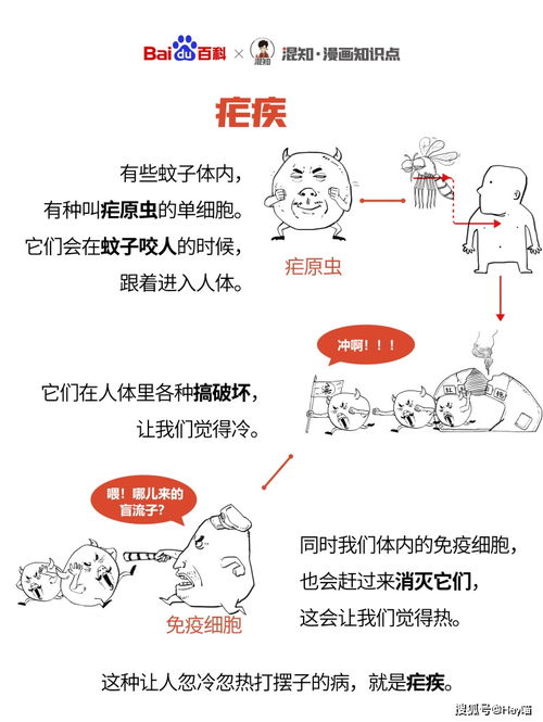 疟怎么读疟疾的拼音，疟疾的拼音字母