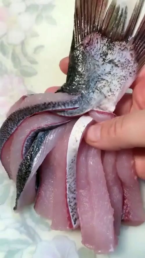 一年级鱼的尾巴是用来干什么?