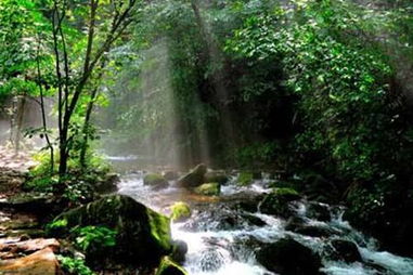 悄怆幽邃的邃怎么翻译，寂寥无人,凄神寒骨,悄怆幽邃