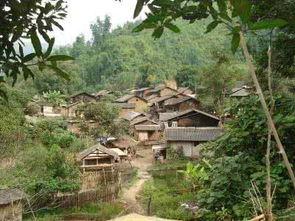 云南省红河州金平县属于哪个市，云南金平县简介