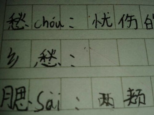 一解乡愁的意思，看得见山水记得住乡愁的意思