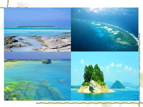 富饶的西沙群岛教学设计一等奖，富饶的西沙群岛教案视频