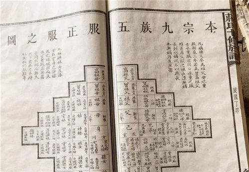 没出五服是什么意思，穷不过三代富不过五服是什么意思