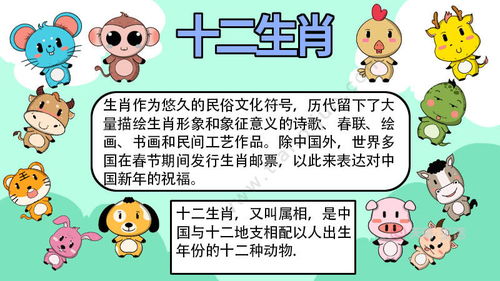 二年级12属相手抄报,二年级手抄报