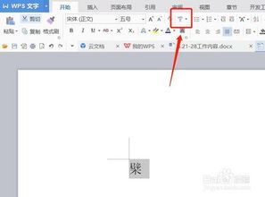 春拼音怎么读，夹杂拼音