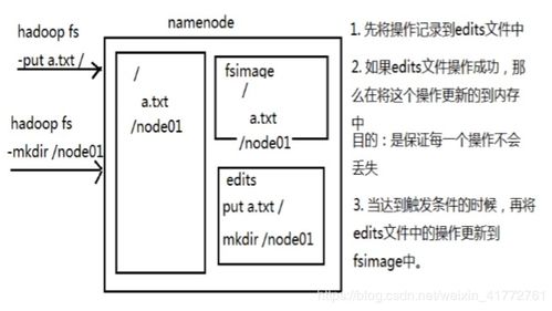 secondary school，secondary造句
