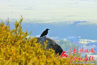 望穿秋水的意思解释词语，望穿秋水是什么意思是什么