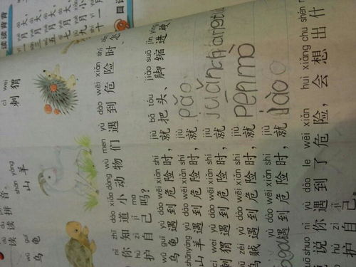 伤害一词中“伤”的意思是什么