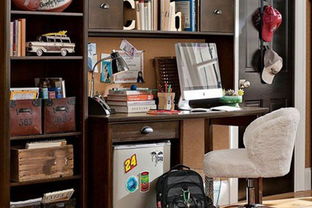 少年书架作文，凤凰少年书架