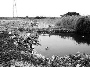 低洼地艾青，低洼地