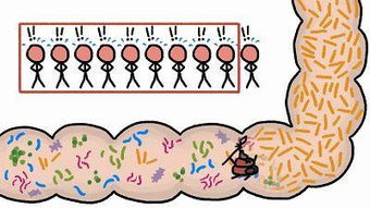 闹心[nào xīn]什么意思?近义词和反义词是什么?英文翻译是什么?_百度